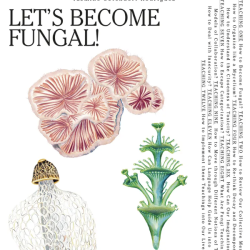 lets become fungal - noticias